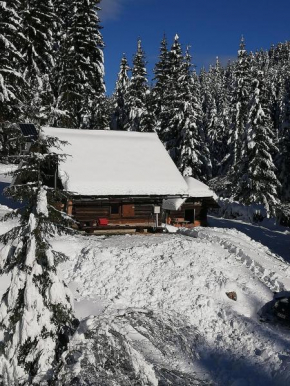 Brunarica na Goreljeku Bohinjska Bistrica